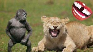 САМОЕ СМЕШНОЕ ВИДЕО: ЧЕЛЛЕНДЖ ПОПРОБУЙ НЕ ЗАСМЕЙСЯ, НЕЛЬЗЯ СМЕЯТЬСЯ #8