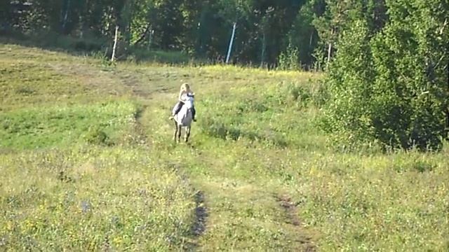 Лето,лошади,красота!!!)))) смотреть онлайн