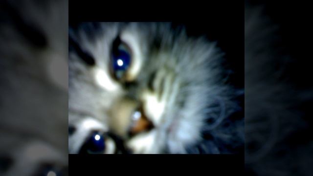 Я тебя никогда не забуду I'll never forget you Memory 2008 2022 смотреть онлайн