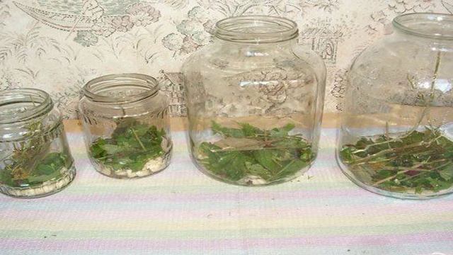 Сборник рецептов