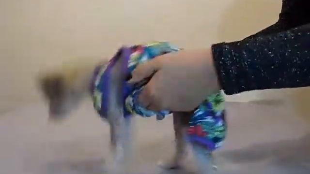 Костюм Ляля размер SS24см смотреть онлайн