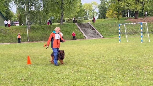 5 Отл. Ирендорф УРМАС +++ №106 / КЧК+ БОРИСОВ (BY) 17 мая`25 M.Jovovic Моно нем.овч.