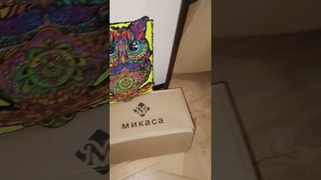 сова из пазла сложного🫨😲 смотреть онлайн