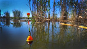 Рыбалка на ПОПЛАВОК с лодки в зарослях камыша