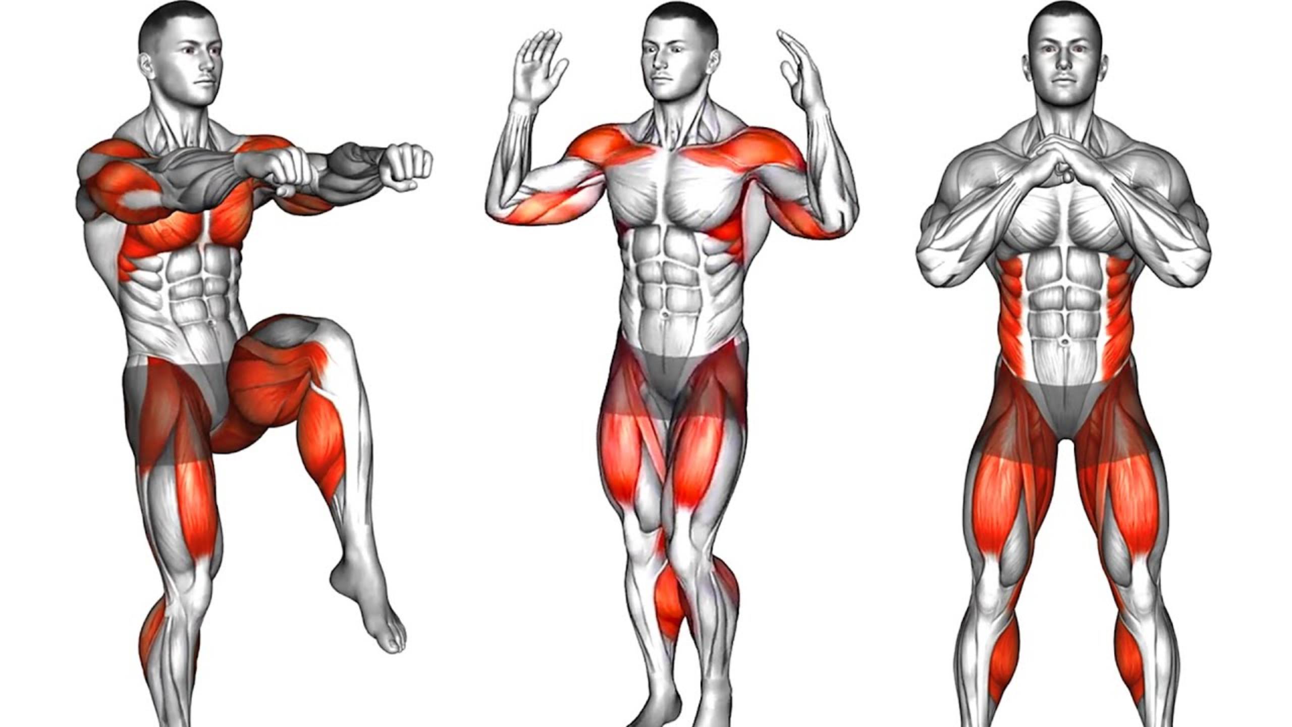 Тренировка Стоя для Сжигания Жира за 14 дней смотреть онлайн