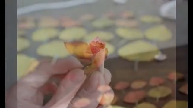 Мое слайд-шоу