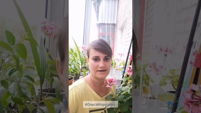 Немного про автополив смотреть онлайн