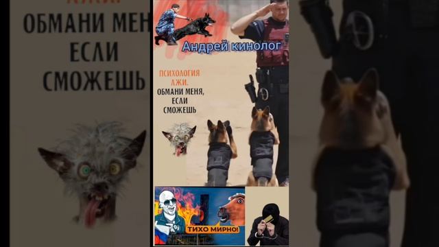 Равная губа и жёсткий Савелий ! смотреть онлайн