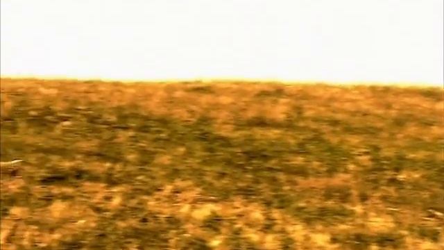 Найк Борзов – Ет