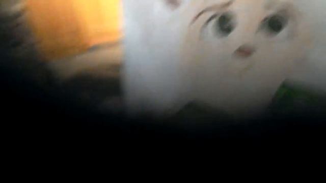 Рисунки зверополис смотреть онлайн