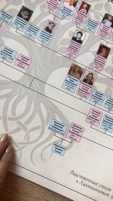 Родословная схема по итогу генеалогического поиска. смотреть онлайн