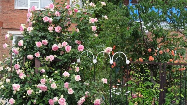 Восхитительная и обворожительная Пьер де Ронсар! смотреть онлайн