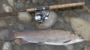 Северная Бурятия. Река Верхняя Ангара. Озеро Байкал. 2015.