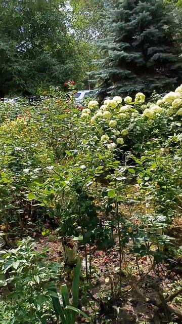 Живописный уголок смотреть онлайн