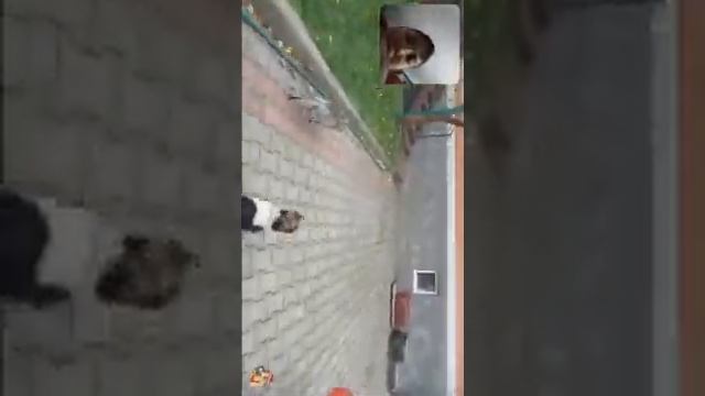 Песня про дружбу подпишись на а ну-ка давайку