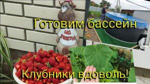 Переезд на ЮГ 🌞 Клубники вдоволь 👍🏼🍓 Готовим бассейн к сезону 🏊🏼♀️🫧💧 Опять проблема 🫣