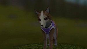 топ 3 короткие страшилки Вайлд крафт