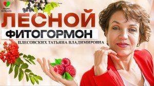 ЖЕНСКИЙ ЗОЛОТОЙ ГОРМОН из ЛЕСА! -||- ЛУЧШИЕ ТРАВЫ ВЕСНЫ — ЧЕМ ЗАМЕНИТЬ ТАБЛЕТКИ #топыкатегорий