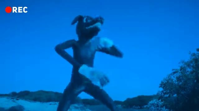 Как снимали А4  КАРТУН ДОГ в Реальной Жизни! SCP Фонд СПАС Нас!