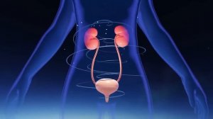 Очень редкая Матрица Гаряева для Очищения Почек ☀️ К?