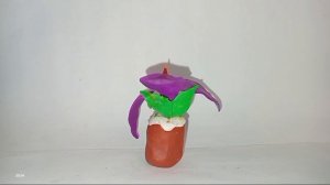 Майские заставки PD (2025)