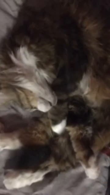 19 декабря 2022 г. смотреть онлайн