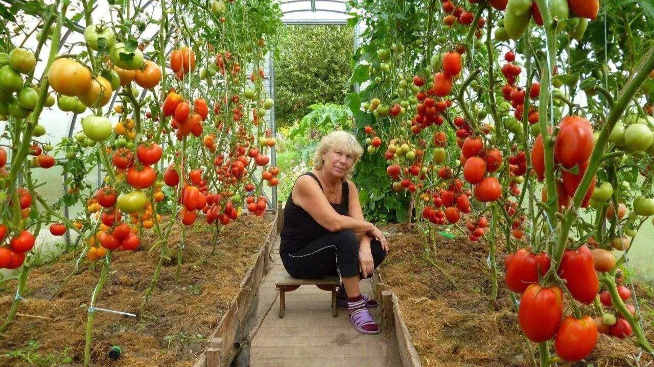 Как помочь своей церкви  снова начать расти и приносить много плода.