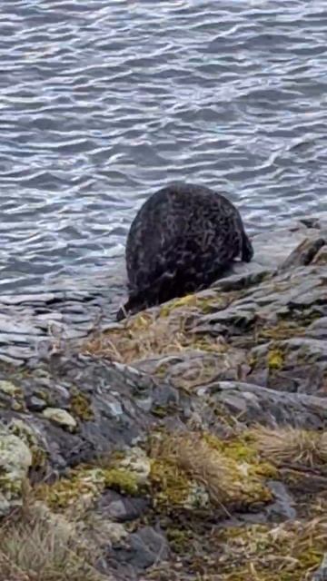 Толстушка 🥵