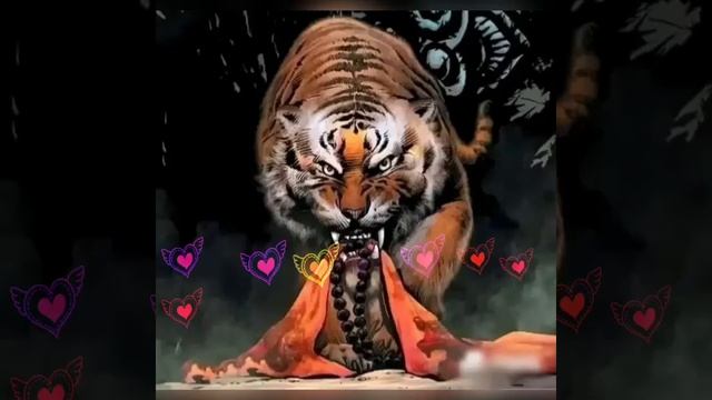 Дикая львица хороший видео смотреть онлайн