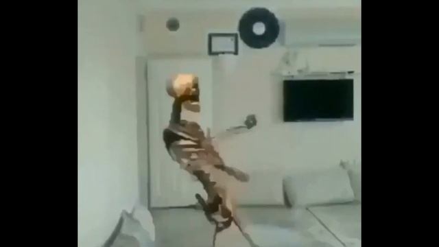 Indian guy become skeleton | 1 час смотреть онлайн