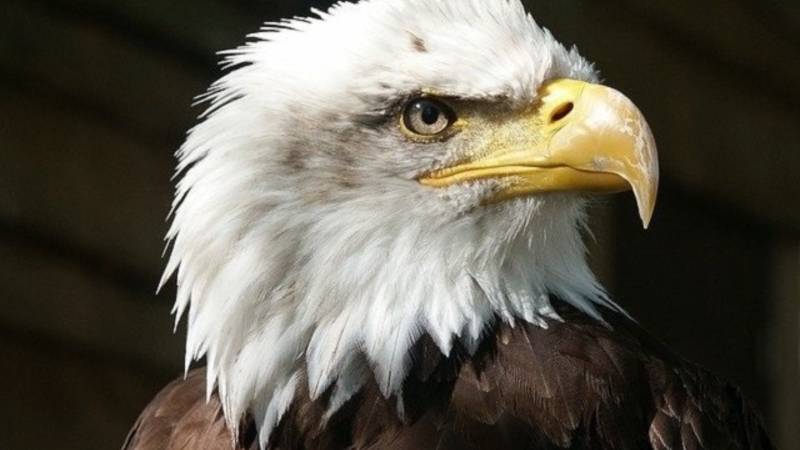 Улучшаем зрение