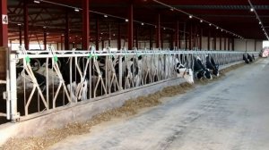 РАЗВИТИЕ СЕЛЬСКОГО ХОЗЯЙСТВА В РОССИИ 2025