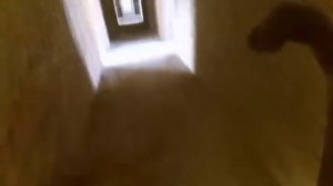 ТОП 5 ПОБЕГОВ ОТ МАНЬЯКОВ