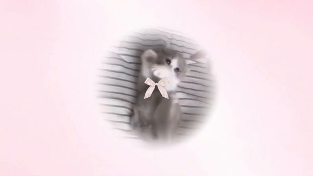 subliminal от тревоги (rus affs) ミ🌷˚ ⊹ ˚♡🤍 смотреть онлайн