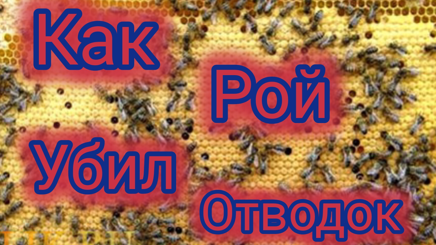 Как рой убил отводок смотреть онлайн