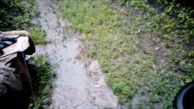 Кто ее обидел?.. Что творится... Что будет...#природа