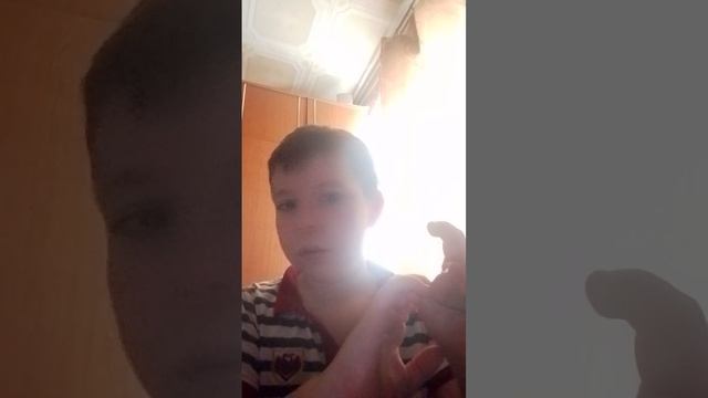 теория про мультик Маша и медведь