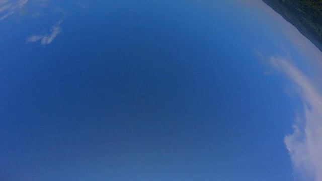 FPVшка зелень