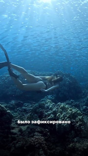 🦈Кто опаснее для человека: акула или комар? смотреть онлайн