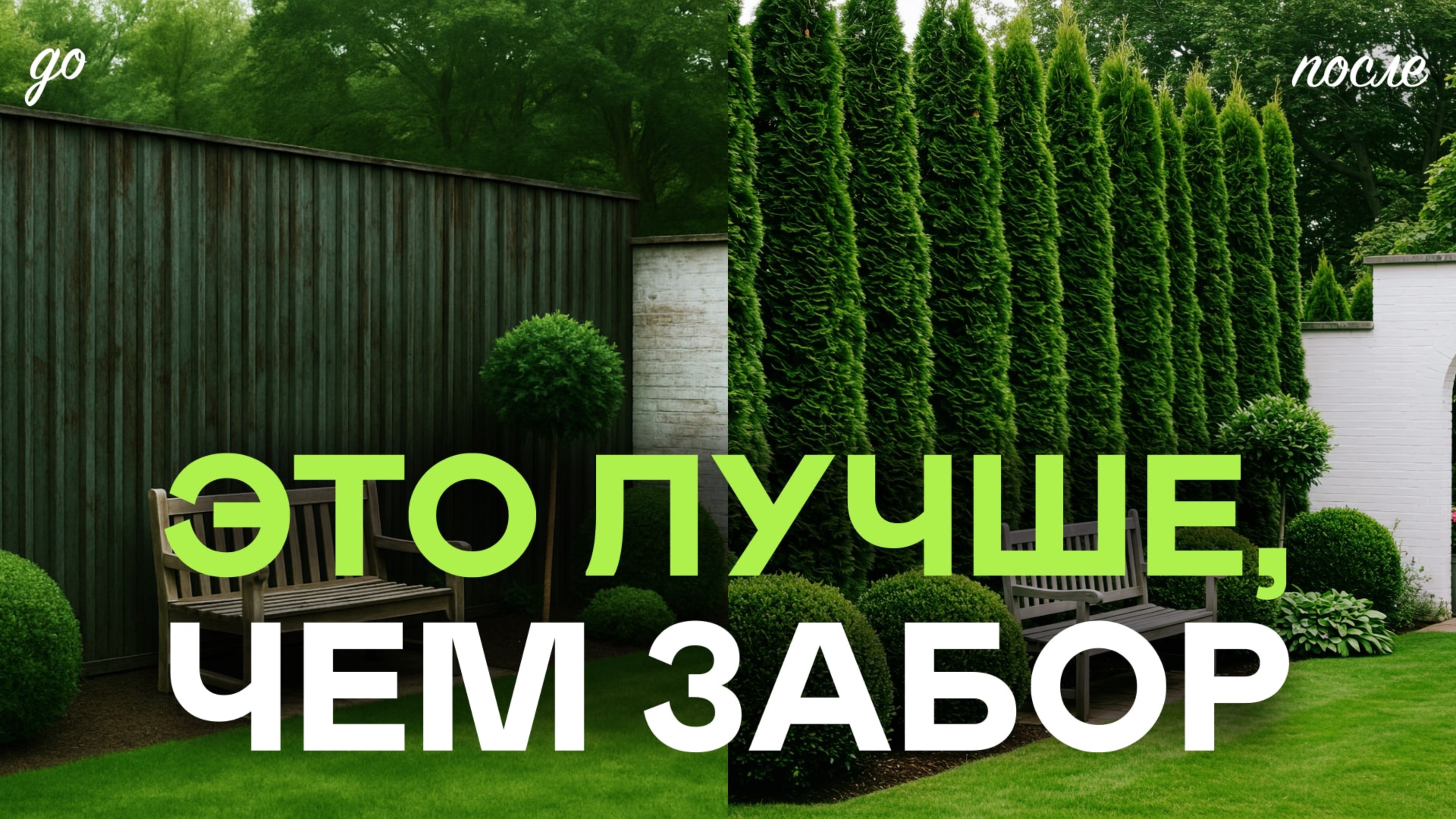 Что И Как Посадить Вдоль Своего Забора? Ошибки Которые Нельзя Допускать! смотреть онлайн