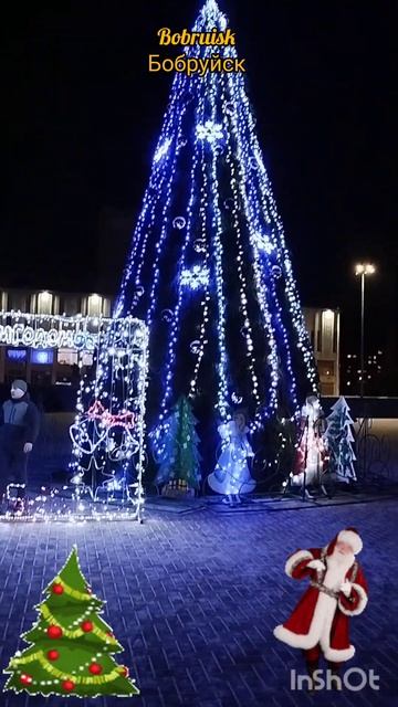 Бобруйск. Елки города. Bobruisk. City fir trees. смотреть онлайн