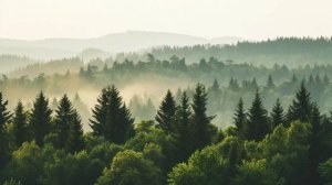 Медитация на ощущение безопасности | Почувствуй себя ?