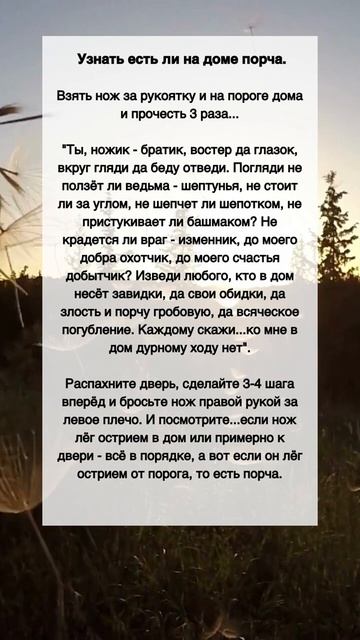 Узнать, есть ли на доме ПОРЧА #shorts смотреть онлайн