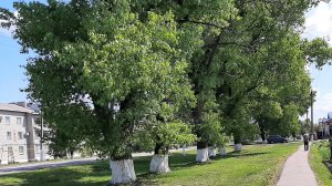 "Я буду жить"🤗❤️👍🚀🩷🩷🩷🩷🩷🩷🩷😊(Начнётся клип только с 20 сек)