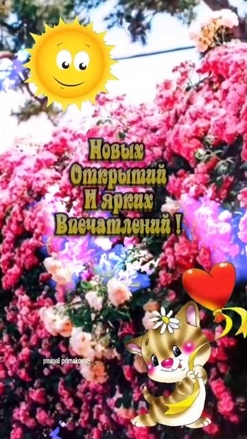Здравствуй Лето !!!🌼🌺🌼 Доброе утро ☕ смотреть онлайн