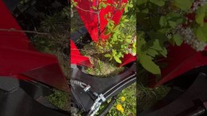 Пересадчик деревьев 500: Быстро. Аккуратно. Эффективно! #питомникрастений #ландшафтныйдизайн #пермь