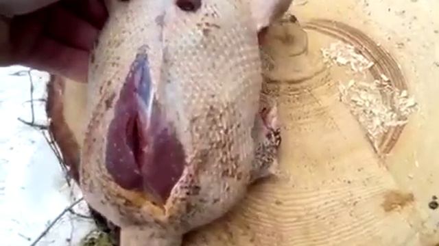 Особо опасно(2) смотреть онлайн