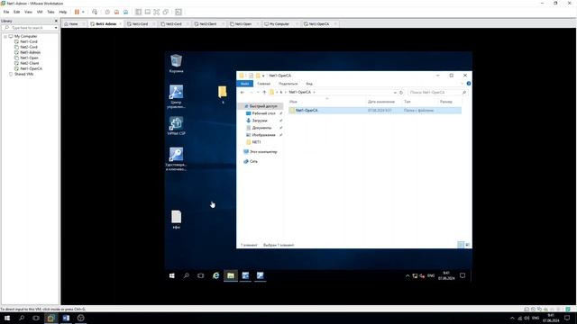 демоэкзамен