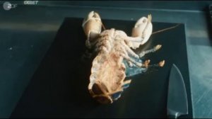 Рой 🍿Трейлер на русском 🍿Сериал 2023