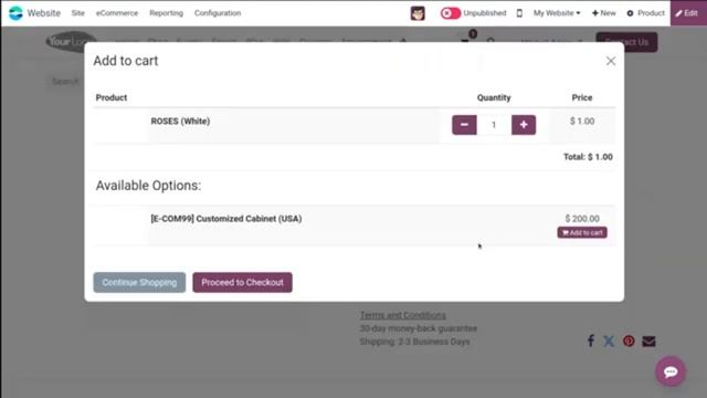 Настройка товаров в приложении Odoo 17 для веб-сайтов смотреть онлайн